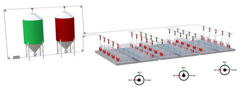 Funki phase feeding of sows