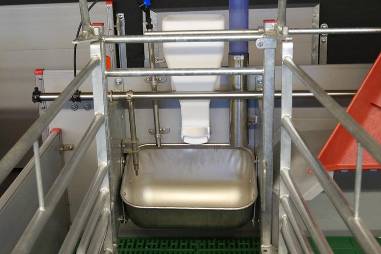 Ad-lib-feeder-for-sows