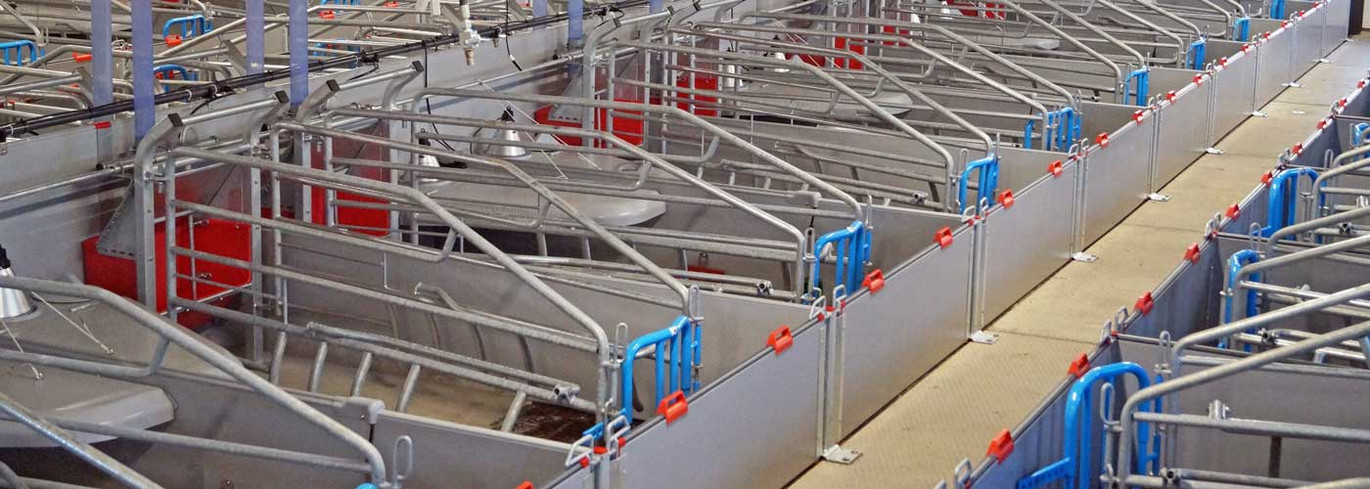 Boar door for mating stall