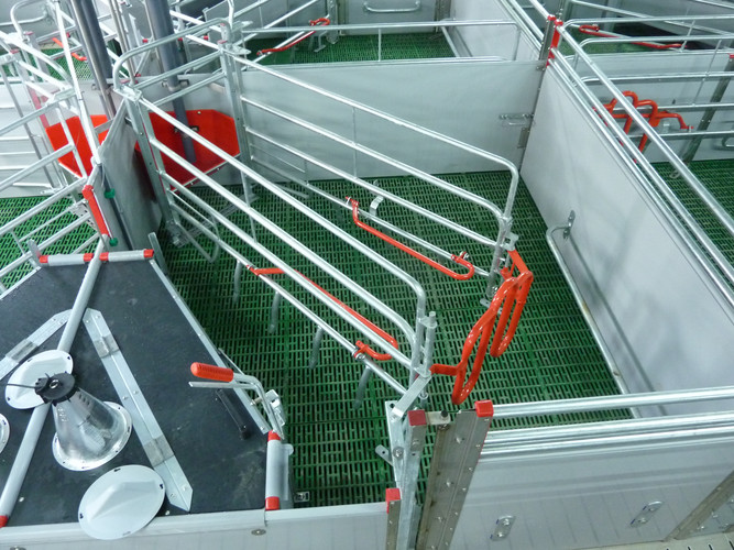 Welsafe-farrowing-crate