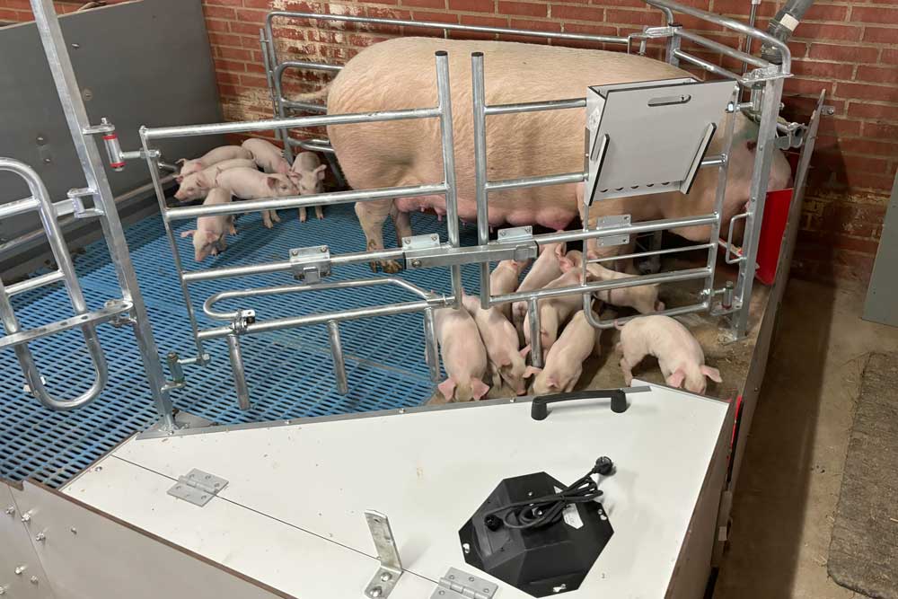 FarrowComfort - Parideras para cerdas sueltas